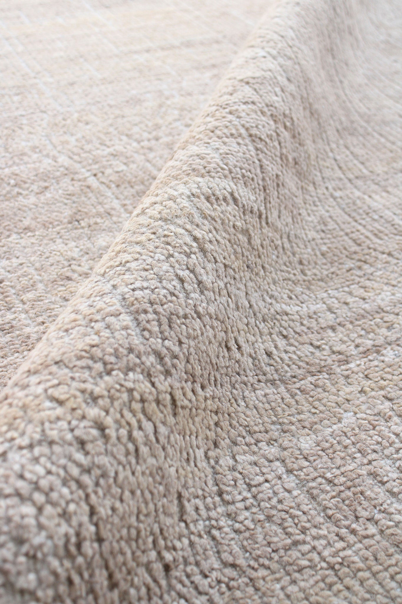 LINEA CAMEL