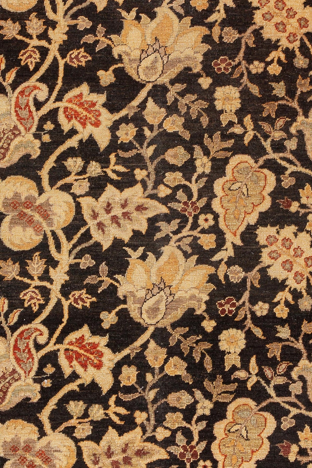 AFGHAN KANDAHAR