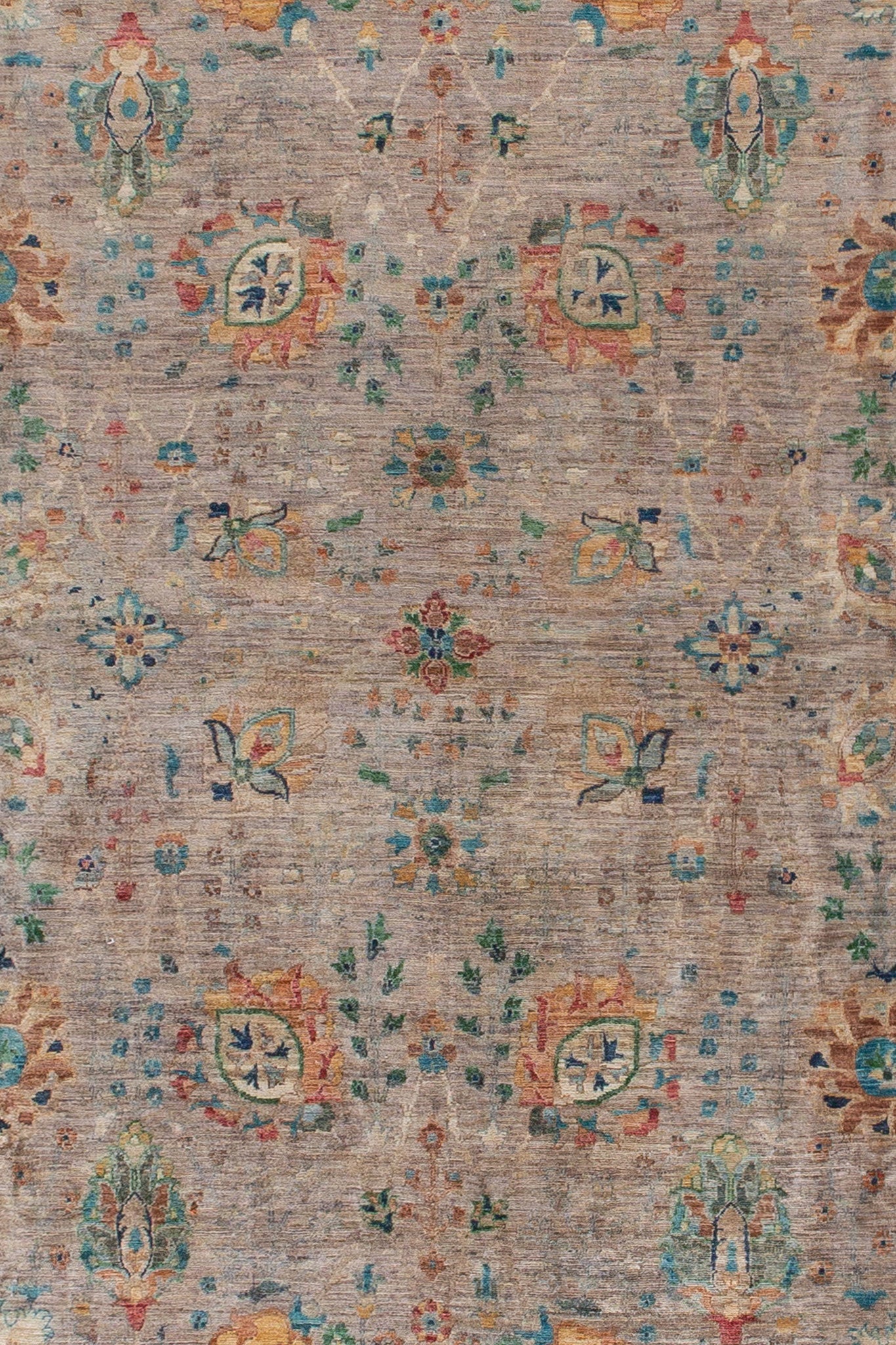 AFGHAN BAMYAN