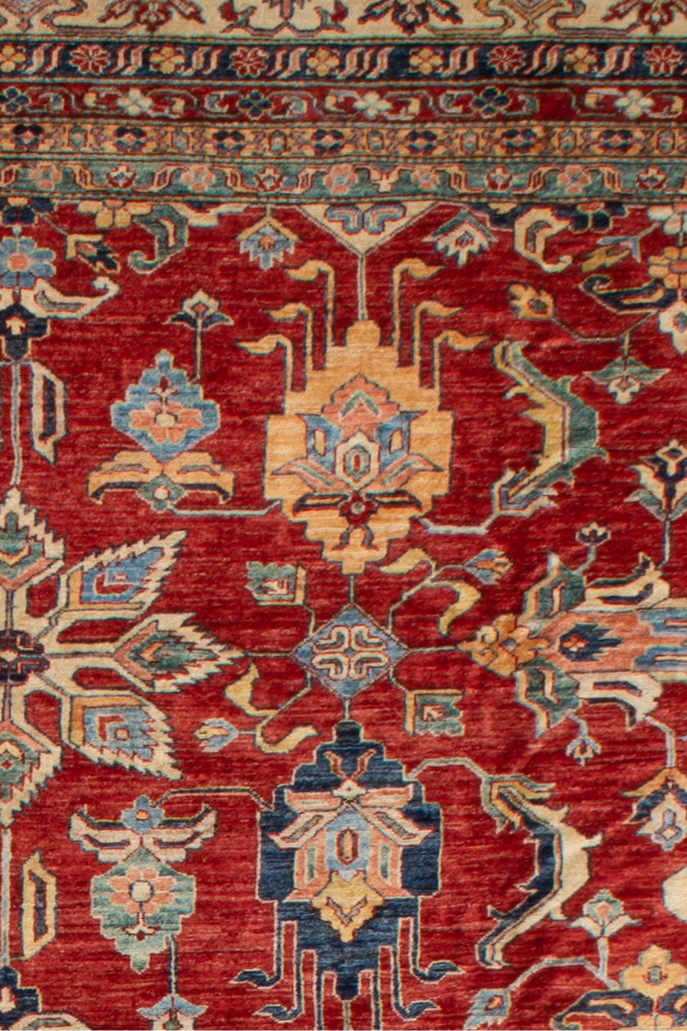 AFGHAN FINE CAUCASIAN
