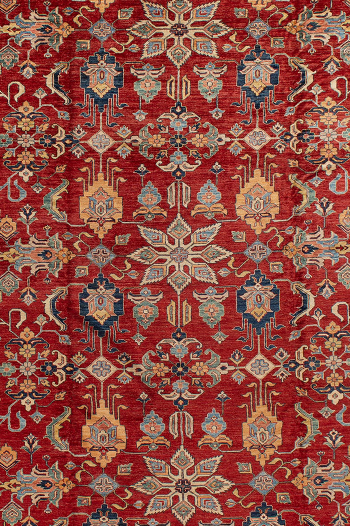 AFGHAN FINE CAUCASIAN