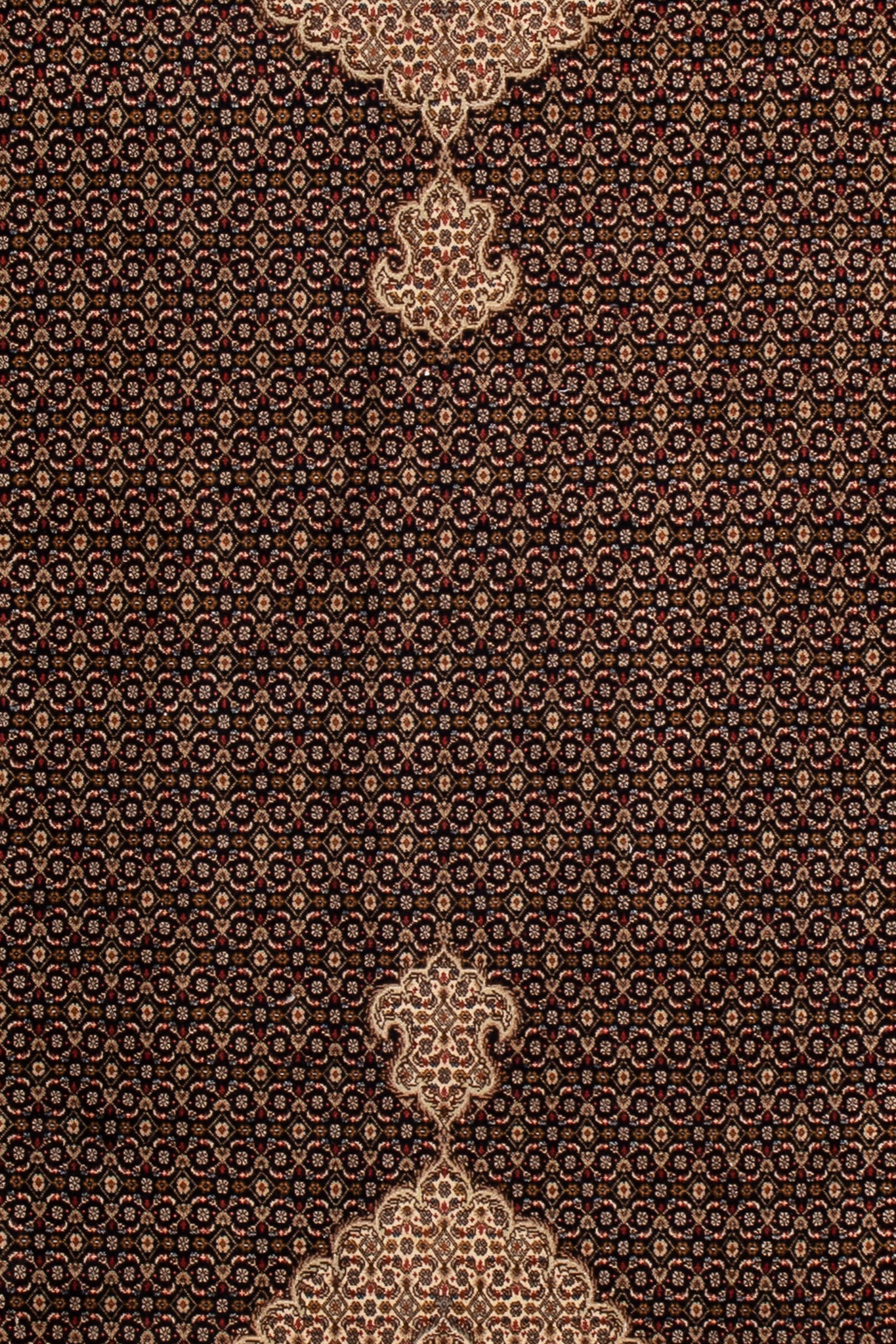 PERSIAN TABRIZ MAHI