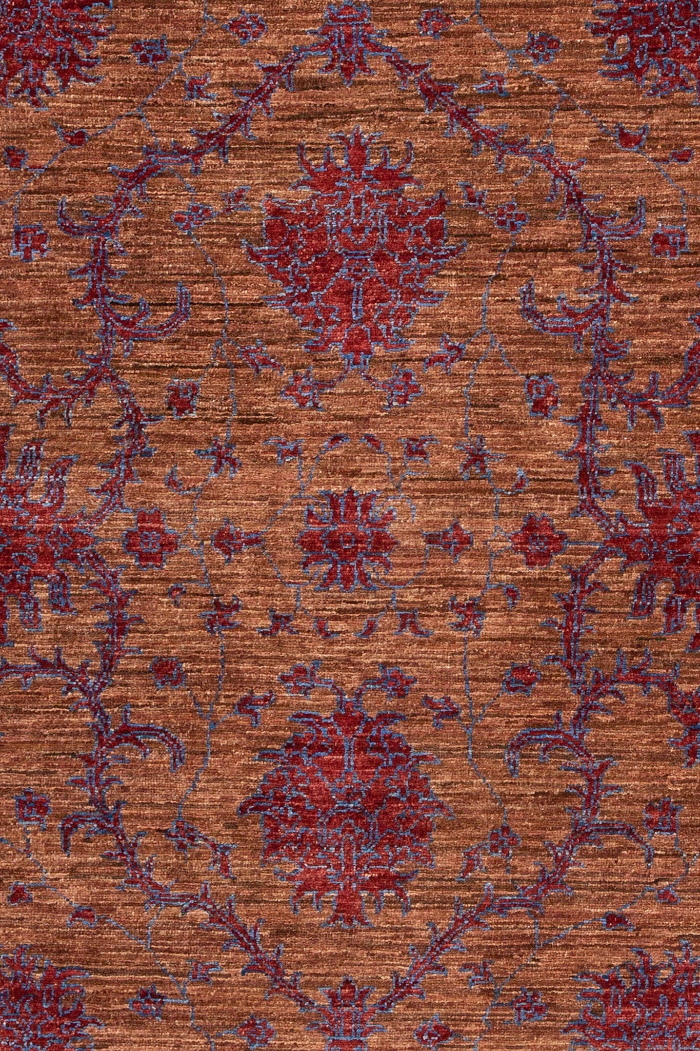 AFGHAN BAMYAN