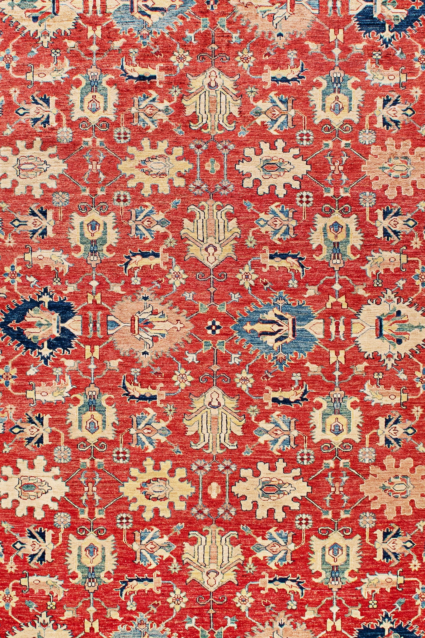 AFGHAN REVIVAL CAUCASIAN