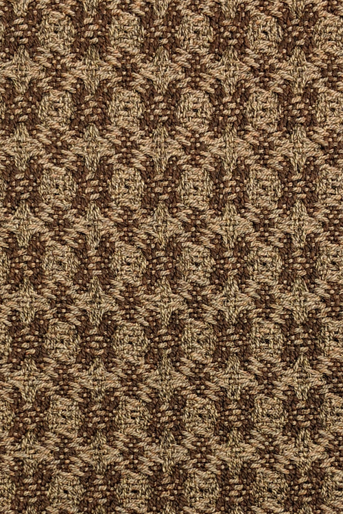 Terrace Lace Ivory Cream