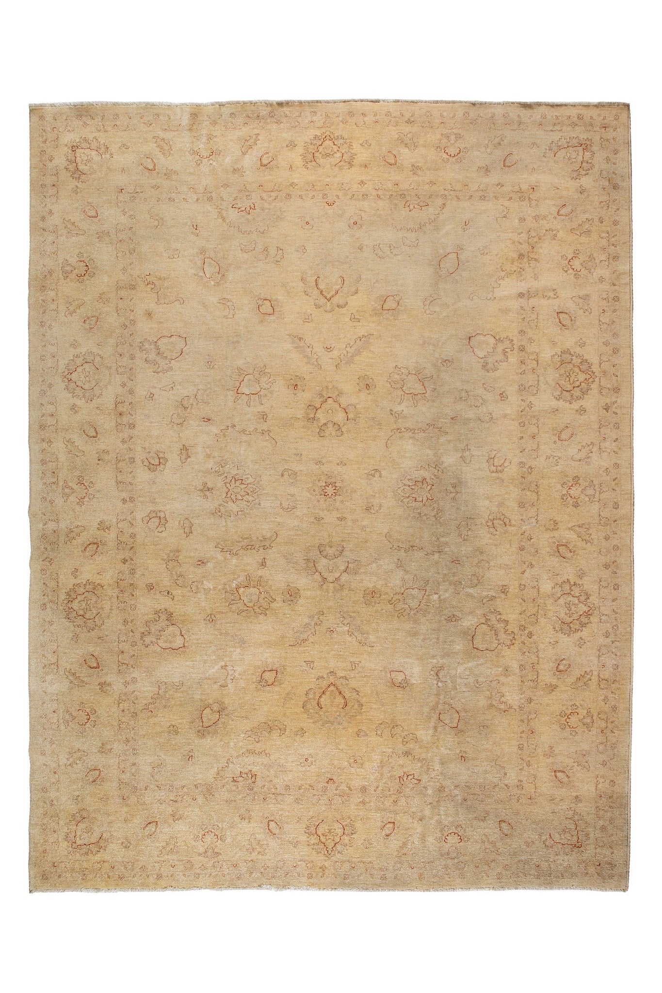 AFGHAN HEZARI