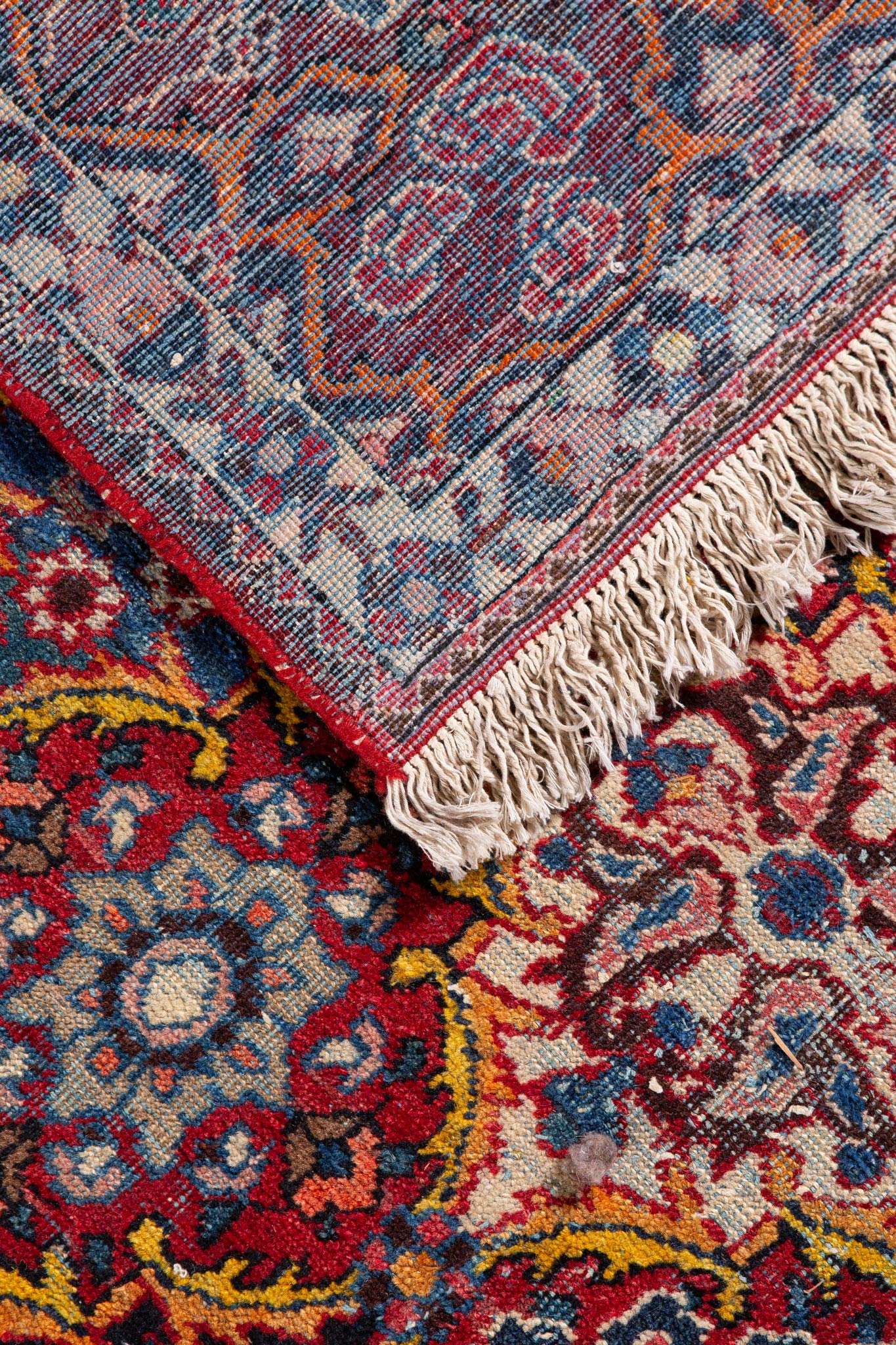 PERSIAN  BAKHTIAR