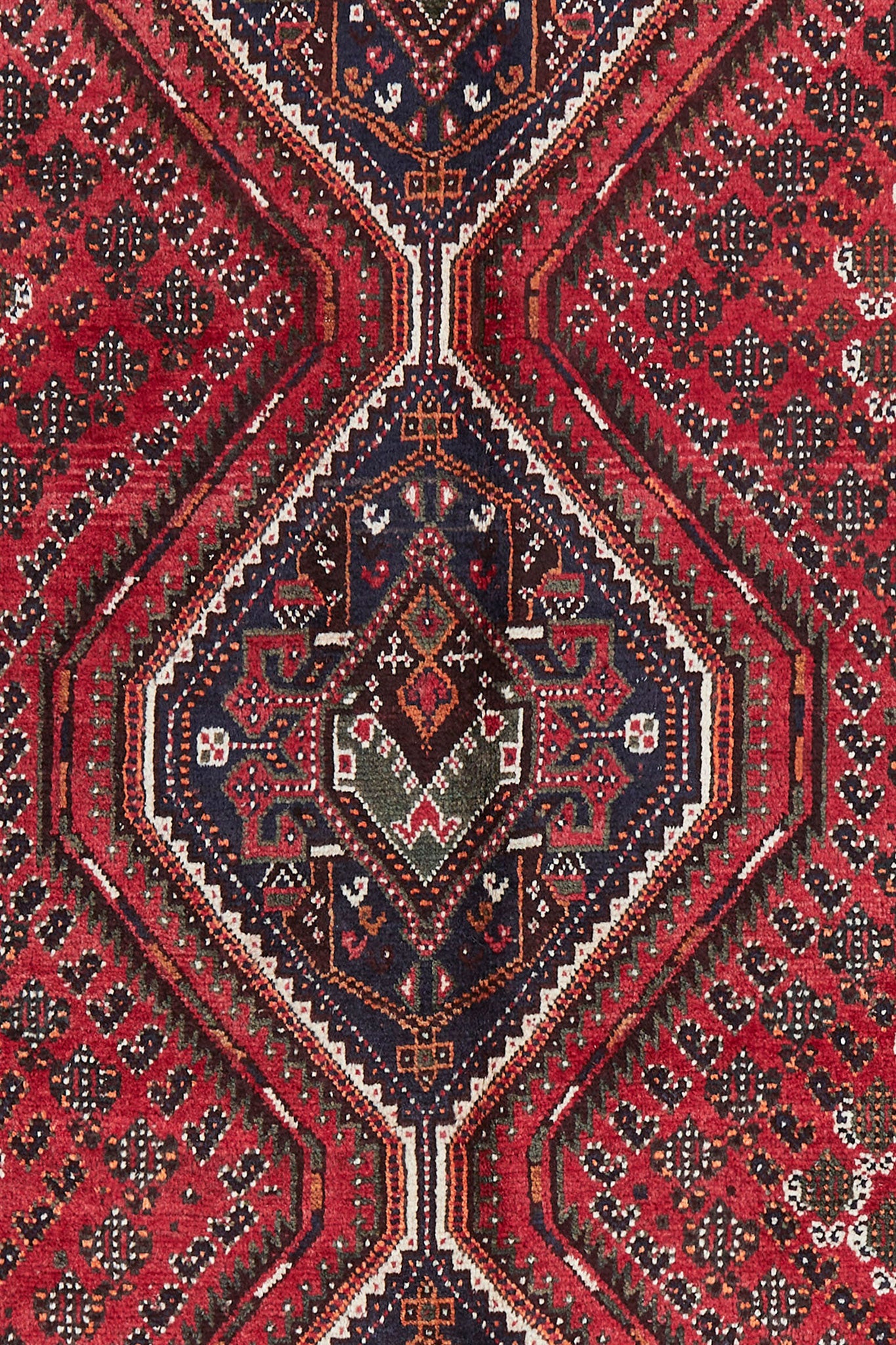 PERSIAN SHIRAZ