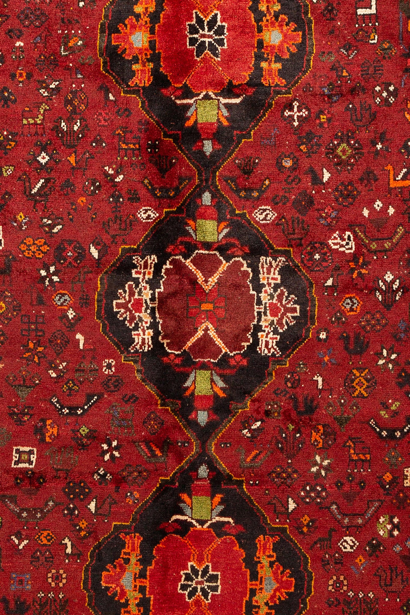 PERSIAN SHIRAZ