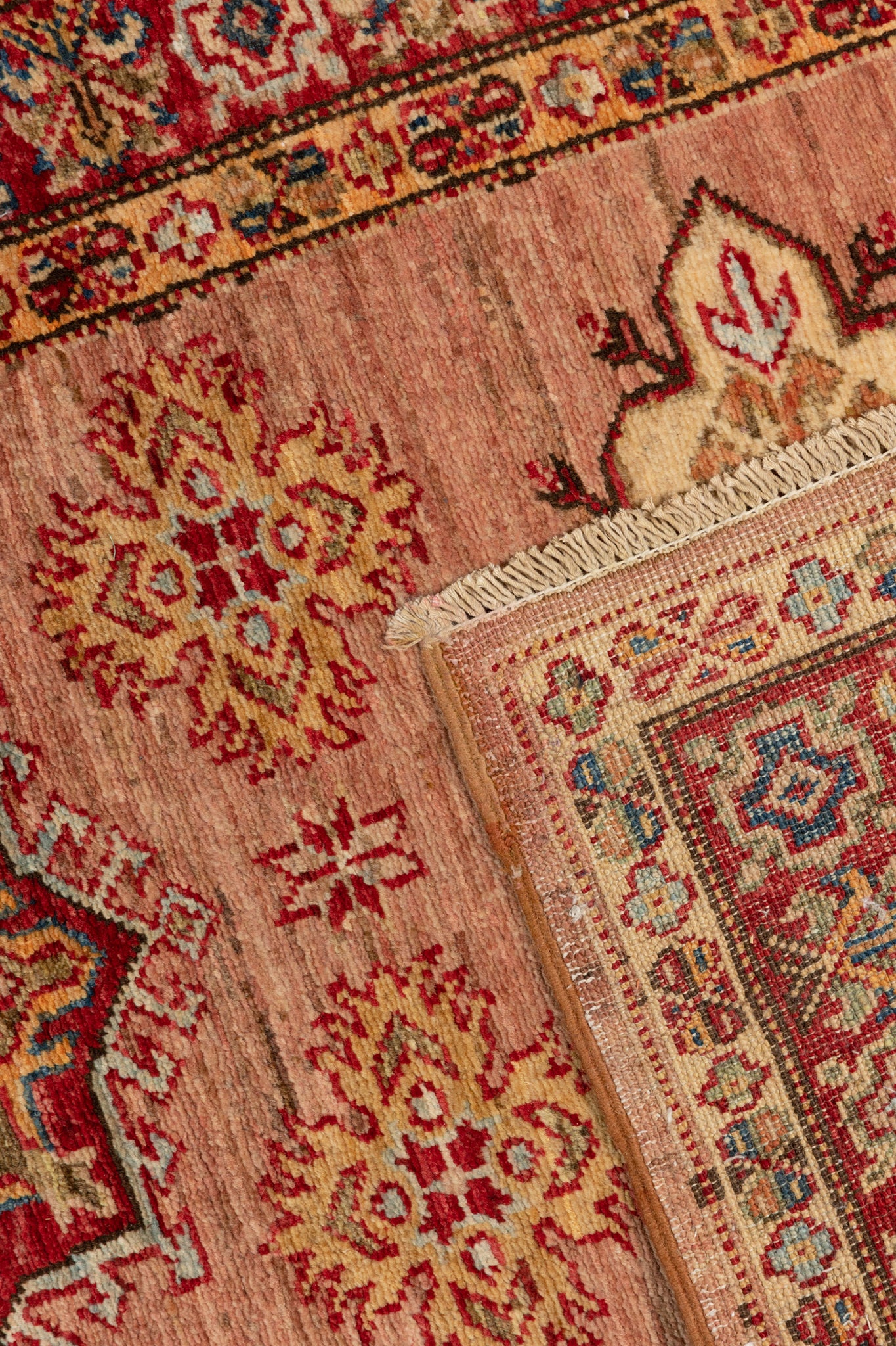 AFGHAN  CAUCASIAN